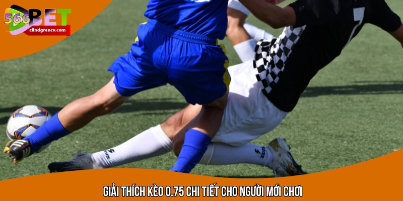 Tìm hiểu luật cược phổ biến trong kèo châu Á hiện nay