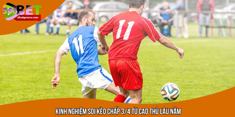 Áp dụng chiến thuật phù hợp để nâng cao tỷ lệ ăn cược