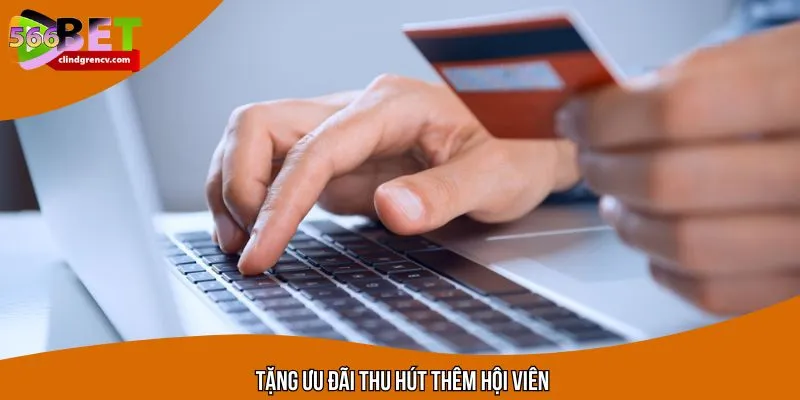 Nhà cái muốn thu hút nhiều thành viên mới