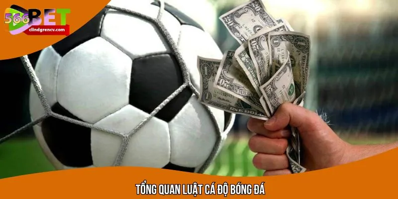 Luật cá độ bóng đá tổng quan khái niệm